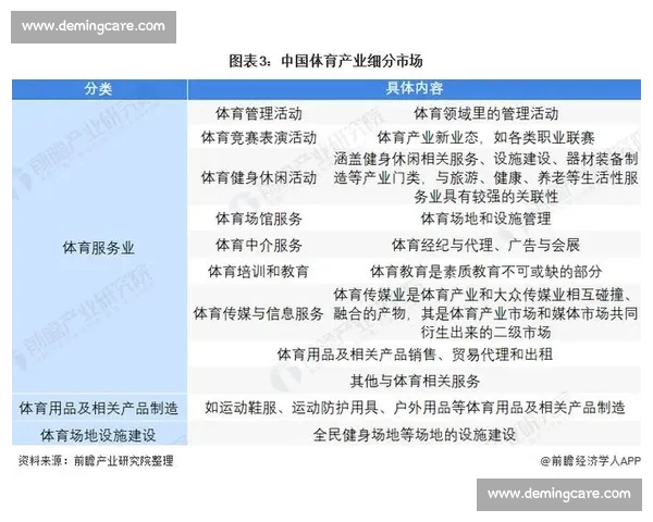 全球体育品牌创新发展与市场竞争格局深度解析及未来趋势前瞻观察